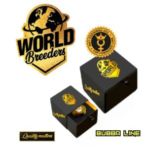 Fizzy Gum - Bubba Line (World Breeder Premium)