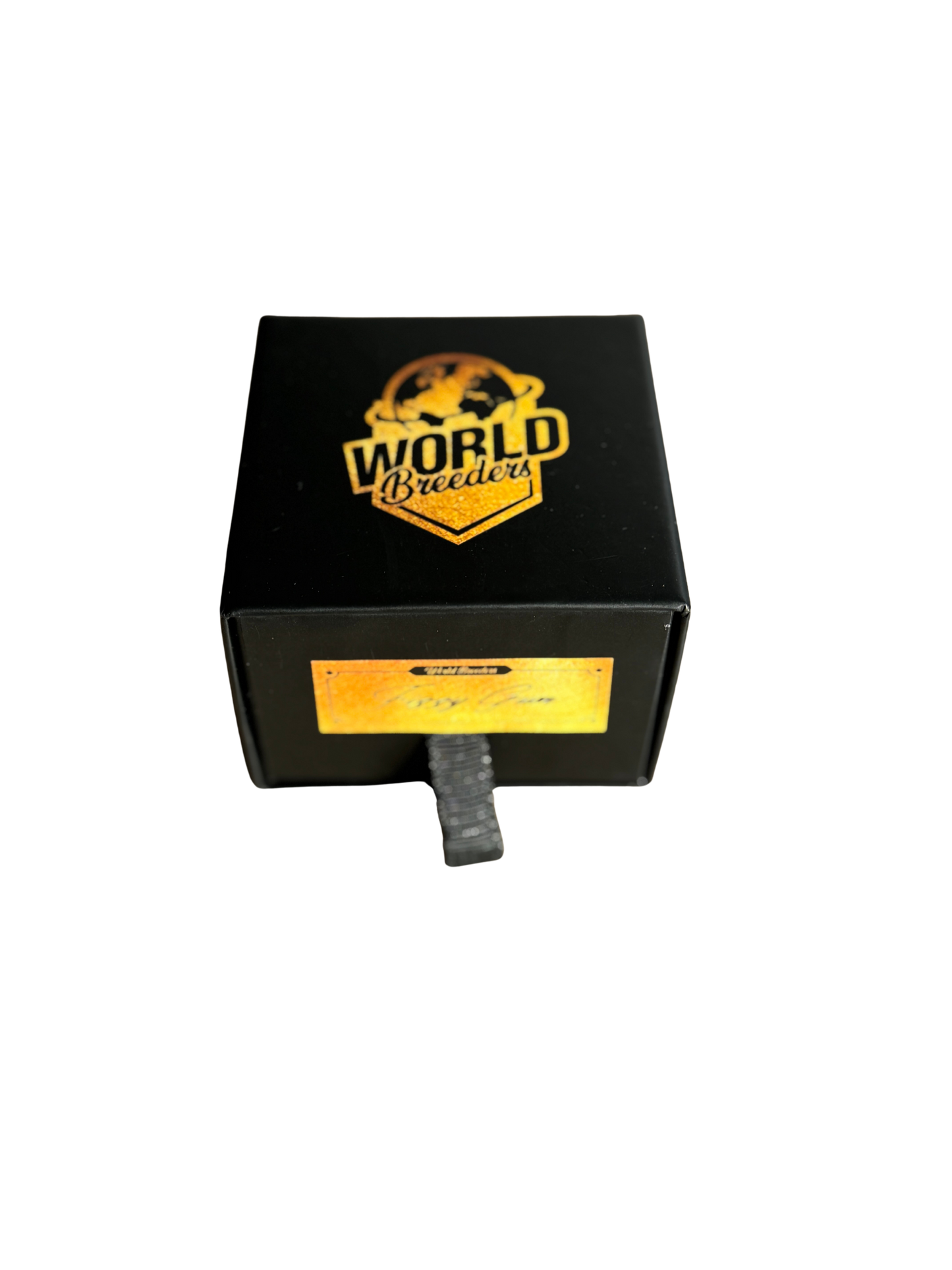 Fizzy Gum - Bubba Line (World Breeder Premium)