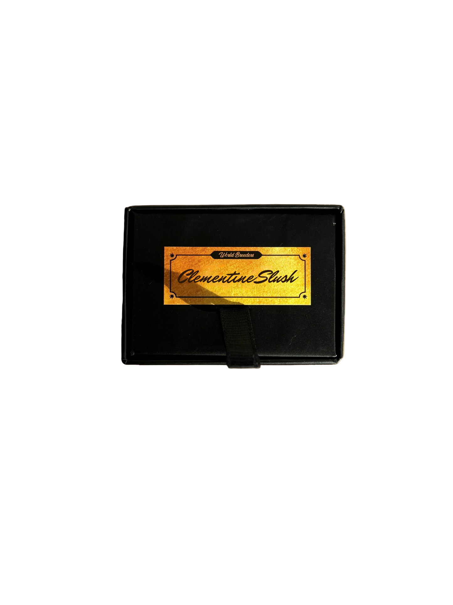 Clementine Slush 🍊 🥤- Bubba Line (World BreederxCali Connection)